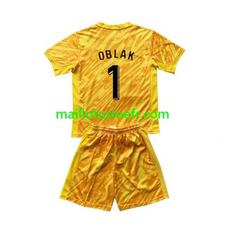 Maillot de Foot Slovénie Jan Oblak 1 Gardien Domicile UEFA EURO 2024 - Enfant Maillot de Foot Slovénie Jan Oblak 1 Gardien Domicile UEFA EURO 2024 - Enfant